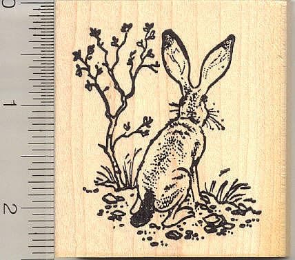 Amazon.com: Jack Rabbit Rubber Stamp : Arts, Crafts & Sewing