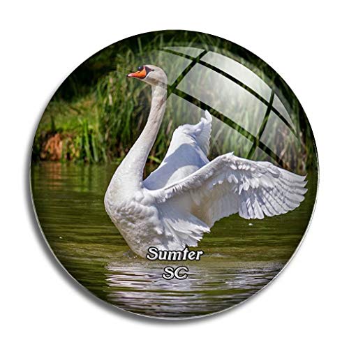 Fridge Magnet Sumter Swan Lake South Carolina USA America Glass Magnets for Refrigerator Souvenirs Cute Crystal Magnet Decor for Whiteboard Office Home Gift