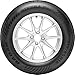 Radar 175/65 R14 86H XL Sommerreifen M+S Reifen Kompatibel mit VW GOLF III 1H1 up! Schrägheck 121, 122, BL1, BL2 Golf IV Cabrio 1E Golf III Cabrio 1E7 GOLF III Variant 1H5 SCIROCCO 53B