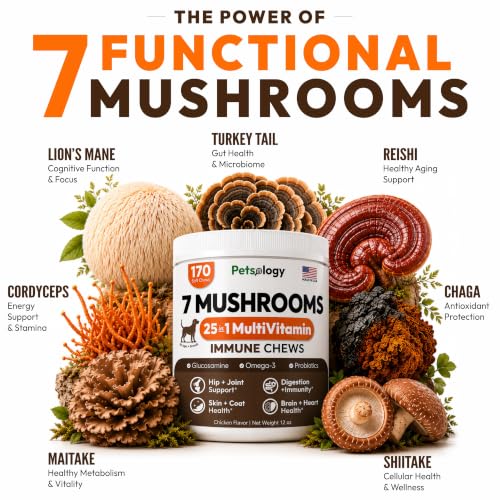 Image of (2 Pack) Turkey Tail Mushroom for Dogs - 340 Chews - Mushrooms for Dogs