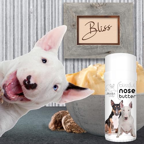 Image of The Blissful Dog Bull Terrier Unscented Nose Butter - Dog Nose Butter, 2 Ounce