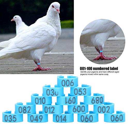Bandes de pattes d'oiseaux de 8mm faciles à installer et à retirer pour pigeons