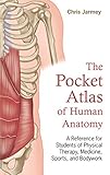 The Pocket Atlas of Human Anatomy: A Reference for Students of Physical Therapy, Medicine, Sports, and Bodywork
