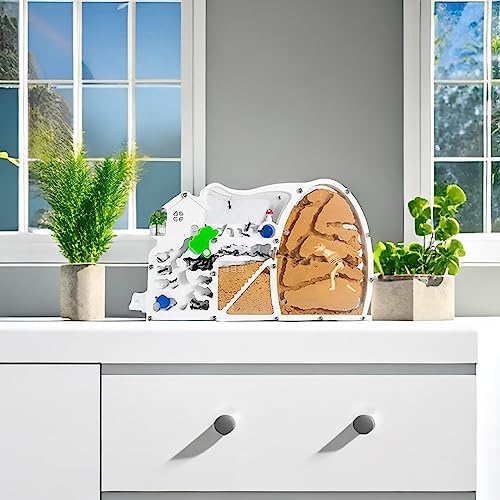 EXBEPE Large Sand Ant Farm Castle,Ant Habitat with Dinosaur Digging to Study Ant Colony Ecosystem Behavior,Science Educational Gift for Kids(Yellow) - Image 5