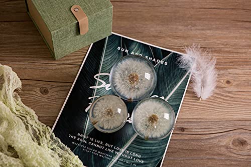Briefbeschwerer Löwenzahn, ein Traumball. Kristall Wunschkugel. Einzigartiger Briefbeschwerer aus Löwenzahn. Das perfekte Geschenk. (9CM) Durchmesser
