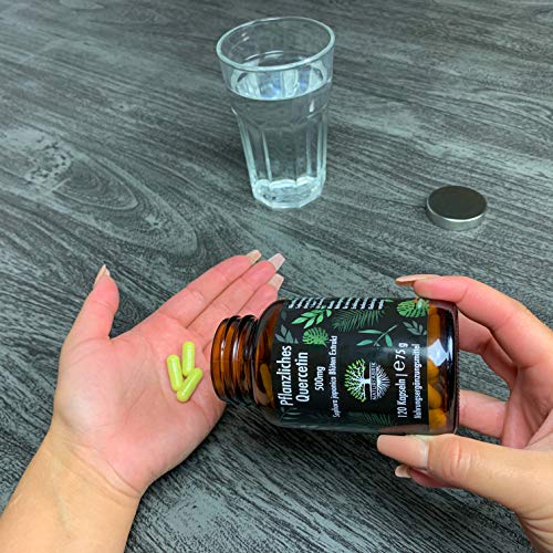 NATURFABRIK Quercetin 500mg | 120 Kapseln | 100% reines Sophora japonica Blüten Extrakt aus japanischem Schnurbaum | hochdosiert | 4 Monatsvorrat | Made in Germany