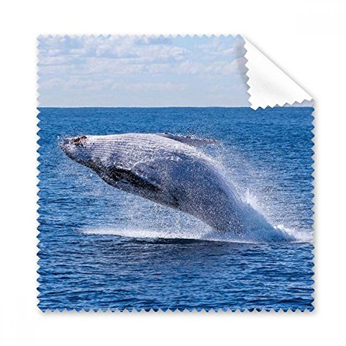 Chiffon microfibre baleine à bosse et nature pour nettoyage d'écran de téléphone lot de 5