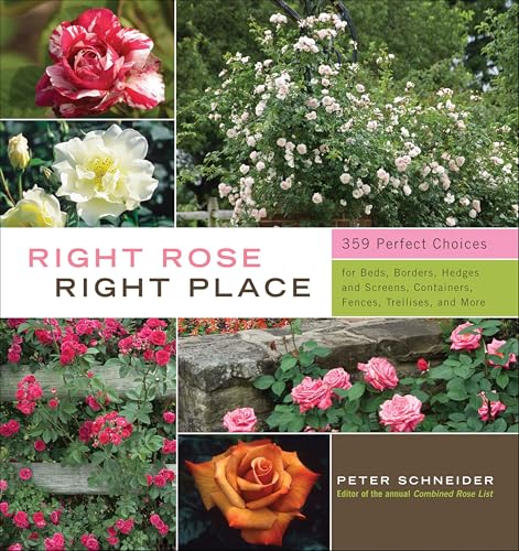 Right Rose, Right Place: 359 Perfect Choices for Beds, Borders, Hedges and Screens, Containers, Fences, Trellises, and More