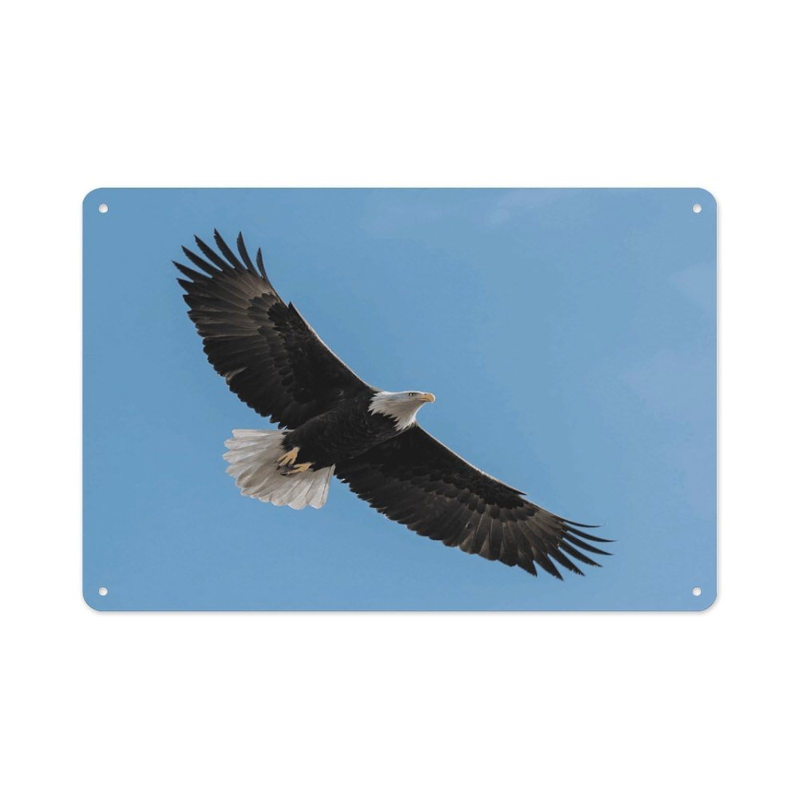 VstaDank Soaring Eagle Wall Art Prints Metal Sign Decor Painting Aluminum Wall Hanging Decor Vintage Poster Sublimation Picture Panel Weatherproof Art Decorative Wall Decors
