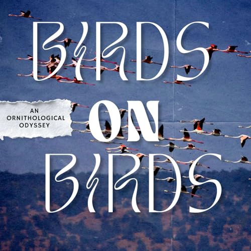 『Birds on Birds』のカバーアート