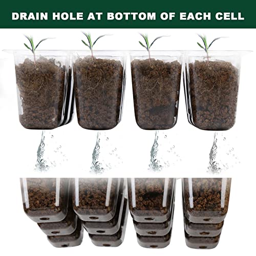 Jeria 20 Packs (240 Cell Seedling Starter Trays) Seed Starter Tray Seed Starter Kit With Humidity Adjustable Dome,Plant Germination Trays For Seeds Growing Starting Plant Starter Kit (Green And Black) #TOP6