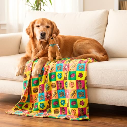 Scooby Doo Pet Throw & Squeaky Pillow Set Stimulating Toy As Gifts for Puppies Cats Dogs (Officially Licensed) By Franco