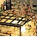 GuDoQi DIY Miniature Dollhouse Kit, Tiny House kit with Music, Miniature House Kit 1:24 Scale, Great Handmade Crafts Gift for Birthday Christmas Day, Vintage Courtyard
