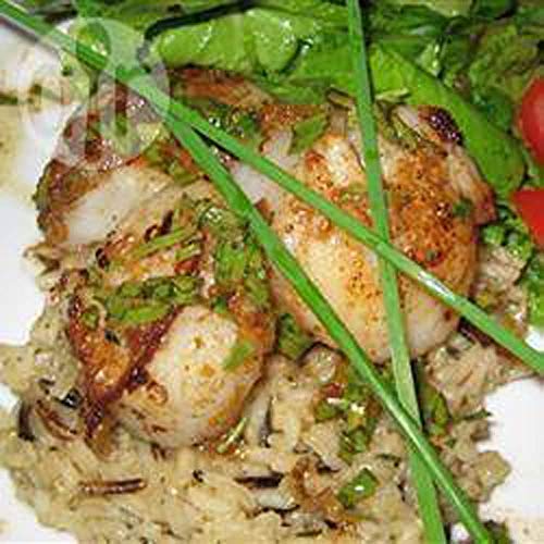 Tarragon, Tarragon Herb Seed, Non- Gmo, 100 Seeds Per Package #TOP3