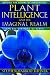 Plant Intelligence and the Imaginal Realm: Beyond the Doors of Perception into the Dreaming of Earth