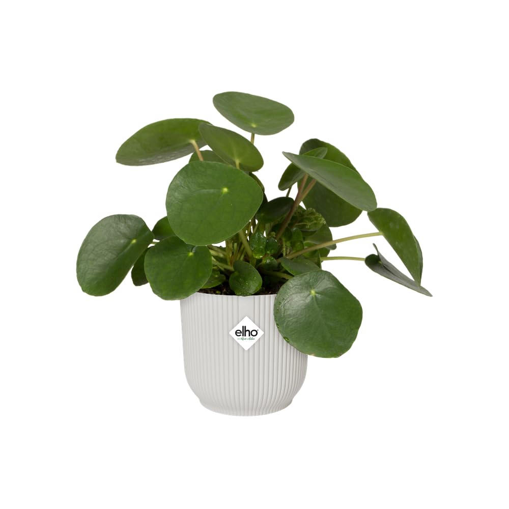 Elho Vibes Fold Round Wheels 35cm Vasi per Piante - Silky White | ∅ 34.9 x A 32.4 cm | Adatto per uso interno | Plastica riciclata al 100%