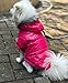 lesypet Dog Coats for Small Dogs, Dog Jacket Warm Dog Winter Coat Windproof Puffer Jacket for Small Dogs Puppy, Pink L