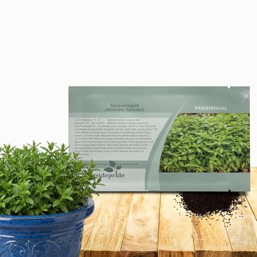 Outsidepride Spearmint Seeds - 10,000 Pcs Perennial, Aromatic, Easy to Grow Mint Herb Seeds for Planting in Indoor & Outdoor Gardens, Ideal for Culinary Use, Tea Gardens, Hydroponics & Flavorings