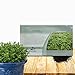 Outsidepride Spearmint - 10000 Seeds