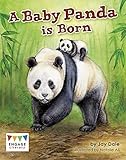 A Baby Panda Is Born (Engage Literacy: Engage Literacy White)