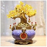 Das Geld Baum bringt Glück, Wohlstand, bietet Schutz vor Verlust und verbessert die persönliche Macht.