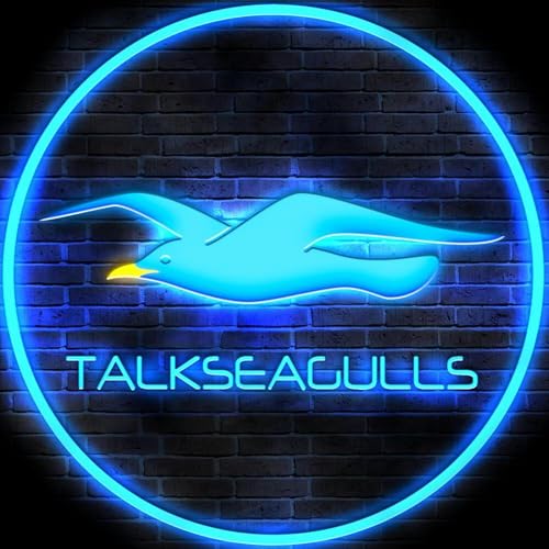 Talk Seagulls Titelbild