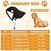 OFFCUP Hunde Baseballmütze Mütze Verstellbar Hunde-Sonnenhut mit Ohrlöchern Outdoor Hundecap Sommer Reise Hut Sonnenhüte Sonnenschutz Sport Sommer-Haustier-Visier für Welpen Katzen (Schwarz, XL)
