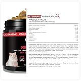 Senior Cat Joint Support Chews – Cat Arthritis, Hip & Joint Supplement with Glucosamine, Chondroitin, MSM, Green-Lipped Mussel, Omega-3 & Hyaluronic Acid – Mobility Relief for Older Cats Treats - Image 8