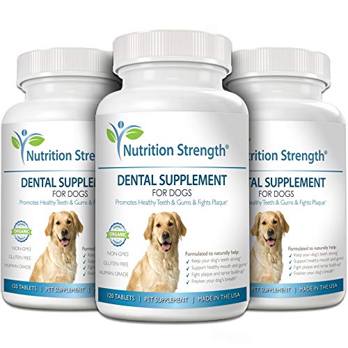 Nutrition Strength Dental Care For Dogs, Daily Supplement For Healthy Dog Gums And Teeth With Organic Kelp, Strawberry Leaf, Pumpkin Seed For Dog Mouth And Teeth Cleaning, 120 Chewable Tablets #TOP4