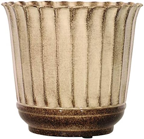 12" Revere - Mocha Crème