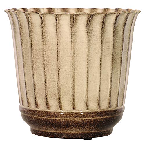 12" Revere - Mocha Crème #TOP3