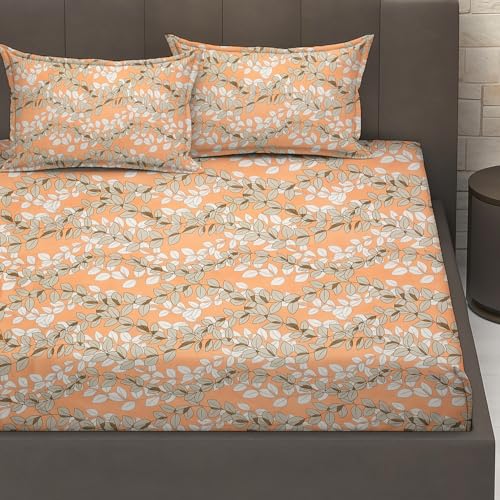 Image of IVAZA Ezyption Cotton Super Soft 240 TC Elastic Fitted All Around Elastic Printed King Size Double Bed Bedsheet with 2 Pillow Cover 72 inch X 78 inch Light Peach