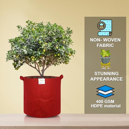 Image of Geo Fabric Grow Bags 21X21 Inch (Pack of 10) | 400 GSM UV-Protected Vegetable Plant Bag | Grow Bags for Terrace Gardening Maroon | Heavy Duty Plant Grow Bag