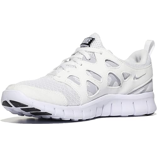 Nike Boy's Free Run 2 (Little Kid)