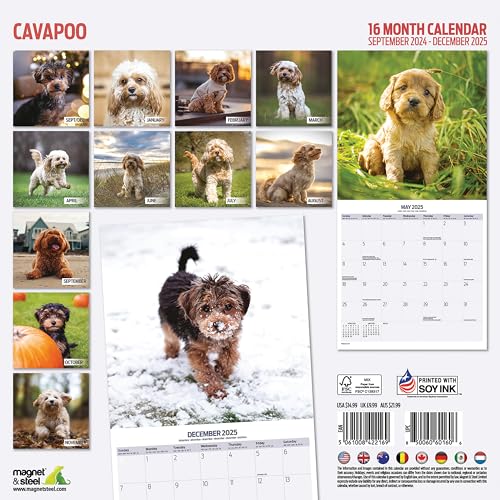 Cavapoo 2025 Traditional Calendar, Various - Image 2
