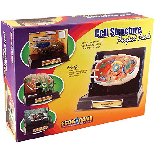 Woodland Scenics Project Pack, Cell Structure