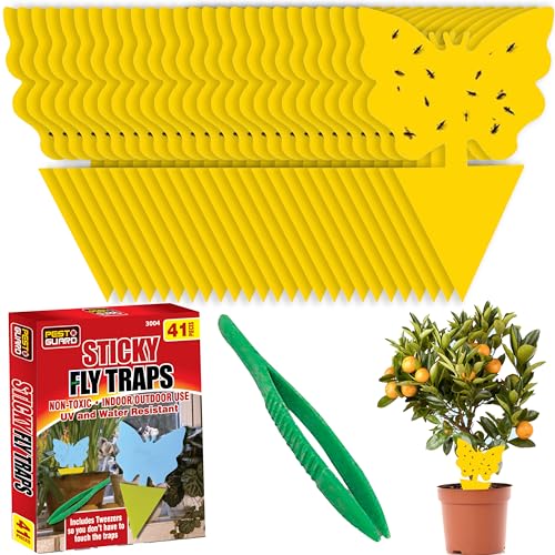 PEST GUARD Fruit Fly Traps Includes Tweezers 41 Pack Double 