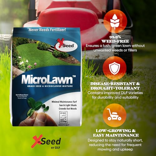 Mini Clover Lawn Seed Blends For Soil Improvement