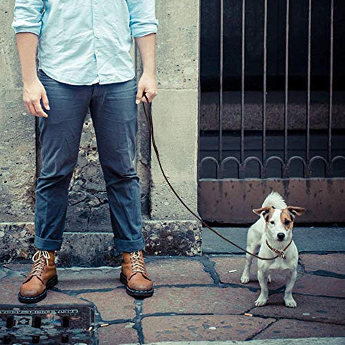 Real Leather Slip Dog Leash For Small Medium Dogs Puppies Lightweight Thin But Sturdy Adjustable Slip Lead Dog Leash Soft And Slim 5 Ft X 1/5 Inch (Small(5 Ft X 1/5 Inch)) #TOP5