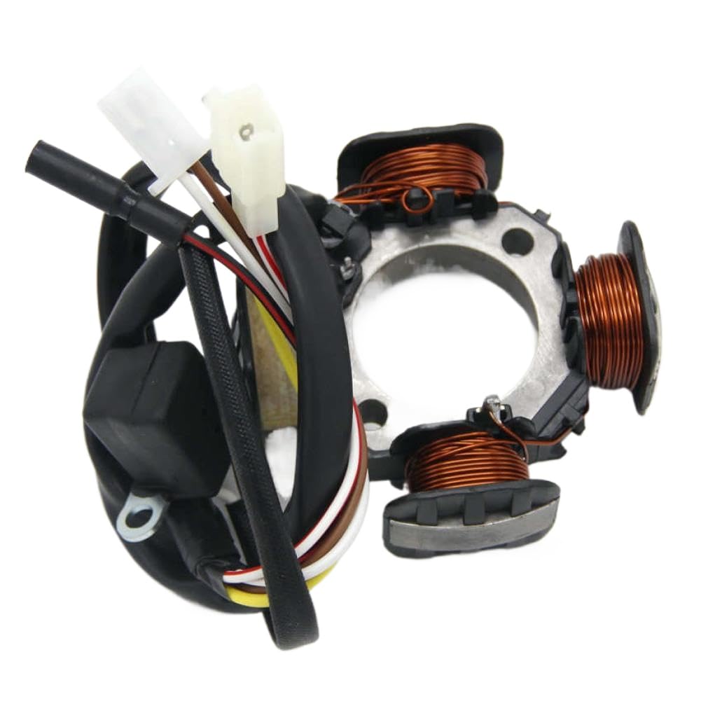 Bobina Statore Magnete Moto 32101-41D01 Compatibile Con AG100 Address V100 1991 1992 1993 1994 1995 1996 1997 1998 1999 2000