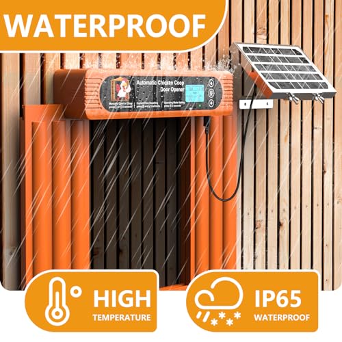 Porta automática de galinheiro alimentada por energia solar, tela LCD, design anti-beliscão, porta d