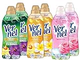 Vernel