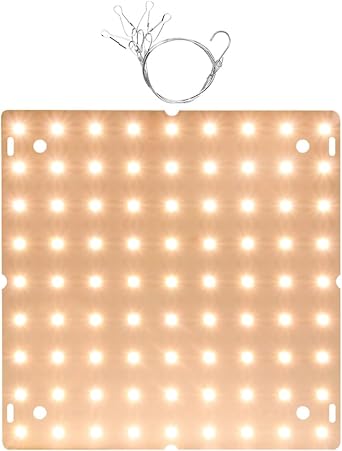 Plants Grow Light 1000W-2000W LED Full Spectrum Lamp for Greenhouses Indoor Phyto Lamp Grow Tent 1000W-C