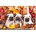 NBgy 1000 Pezzo Jigsaw Puzzle Tre Pugs Creativo Gioco Personalizzato Adulti Bambini Giocattoli editoriali
