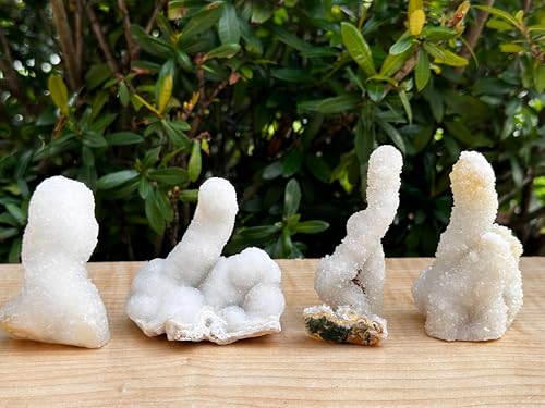 Image of GAF TREASURES Chalcedony & Crystal Quartz Stalactite 3-8 inch, Natural Quartz on Chalcedony Stalactite Specimen (0.12-0.25 lb)