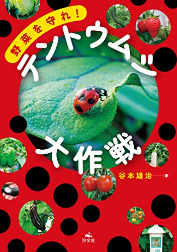 野菜を守れ! テントウムシ大作戦