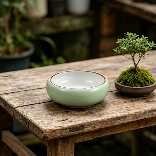 Pot hydroponique céramique mate pour une floraison parfaite des bulbes