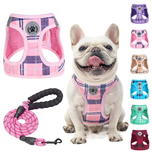 Beautyzoo Small Dog Harness And Leash Set,Step In No Chock No Pull Soft Mesh Dog Harnesses Reflective For Extra-Small/Small Medium Puppy Dogs And Cats, Plaid Dog Vest Harness For Xs S Pets, Pink M #TOP27