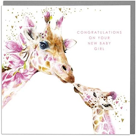 Congratulations On Your New Baby Girl - Giraffes - New Baby Card with Grey Envelope by Lola Design