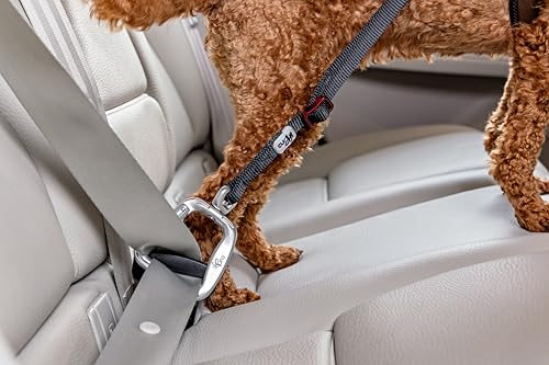 Car Safety Belt V2 S